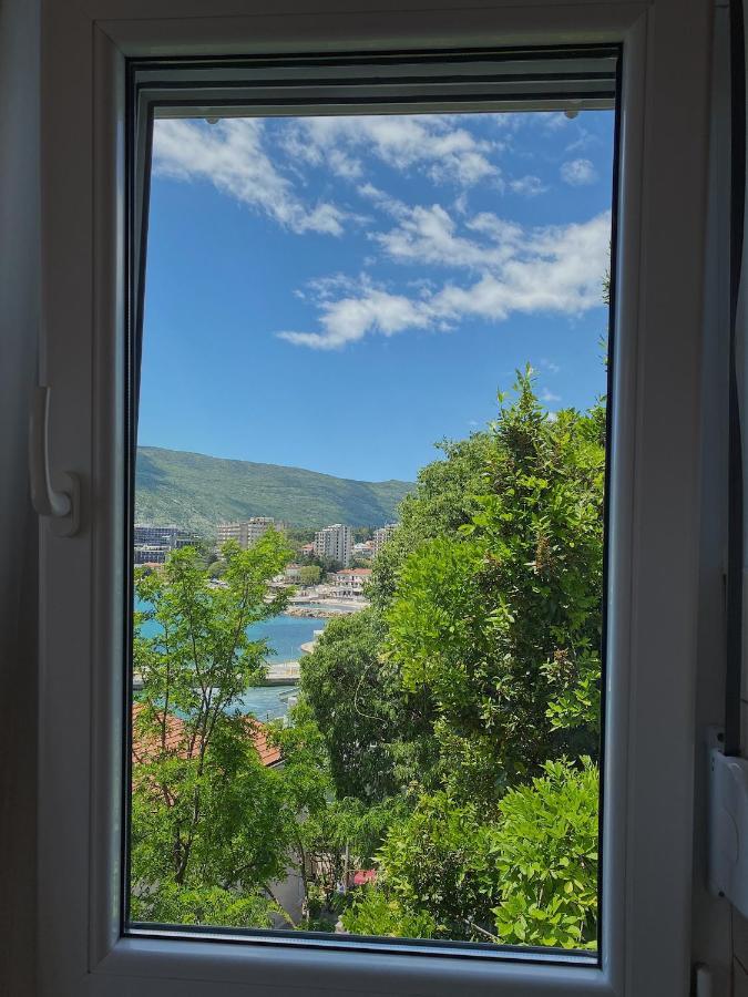 Apartments Bellevue - Otasevic Χέρτσεγκ Νόβι Εξωτερικό φωτογραφία